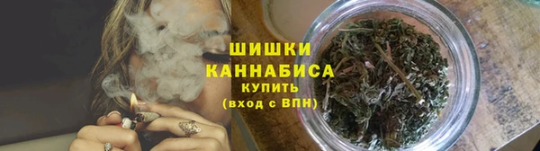 МДПВ Вязьма