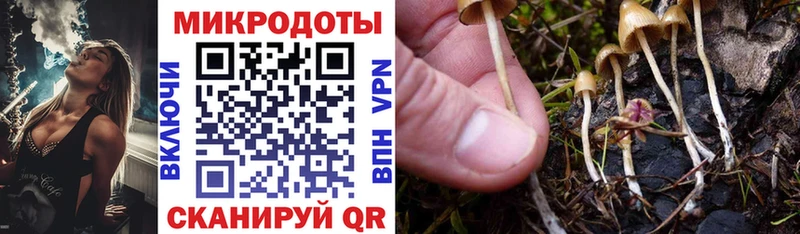 darknet наркотические препараты  закладка  Саратов  Псилоцибиновые грибы GOLDEN TEACHER 