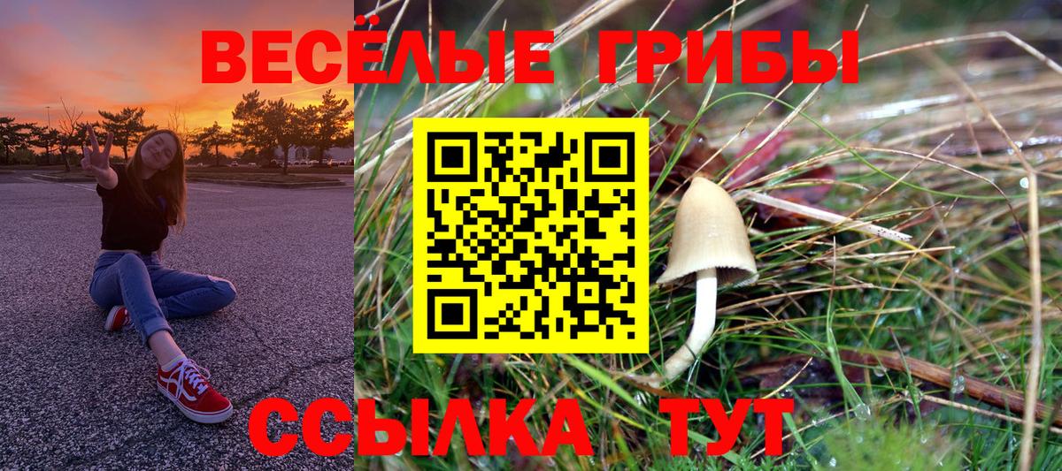 Псилоцибиновые грибы GOLDEN TEACHER Саратов