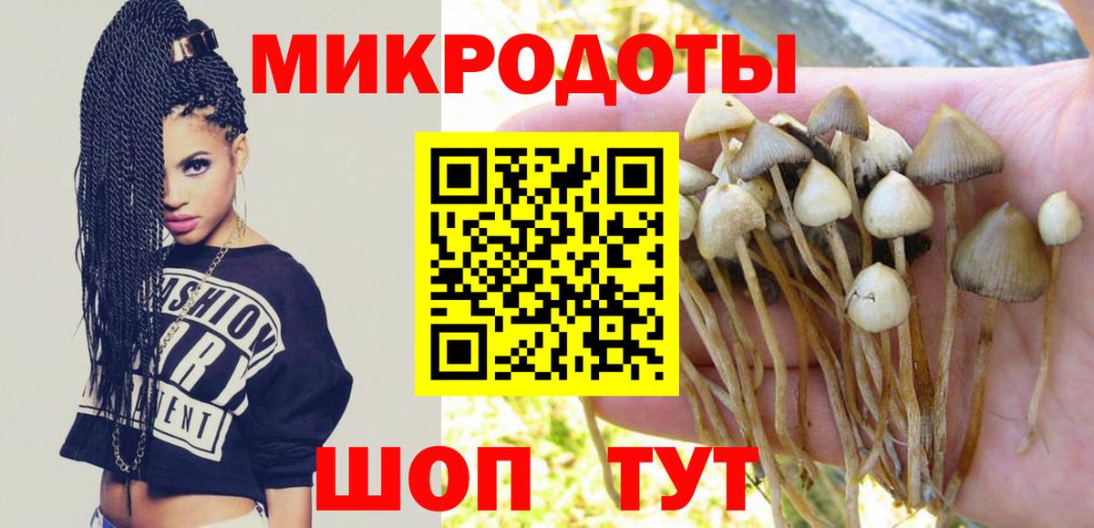 Галлюциногенные грибы GOLDEN TEACHER  купить наркоту  Саратов  Вход с VPN 