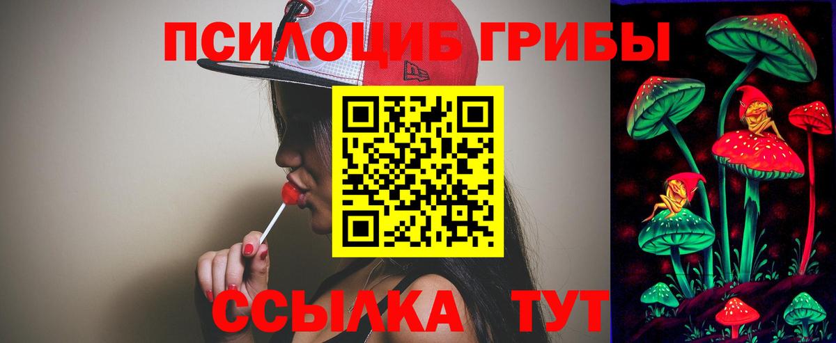 Псилоцибиновые грибы мухоморы Саратов