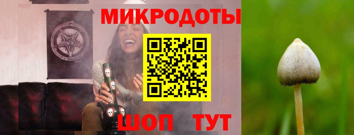 Галлюциногенные грибы Psilocybine cubensis  Саратов  продажа наркотиков  Галлюциногенные грибы Magic Shrooms 